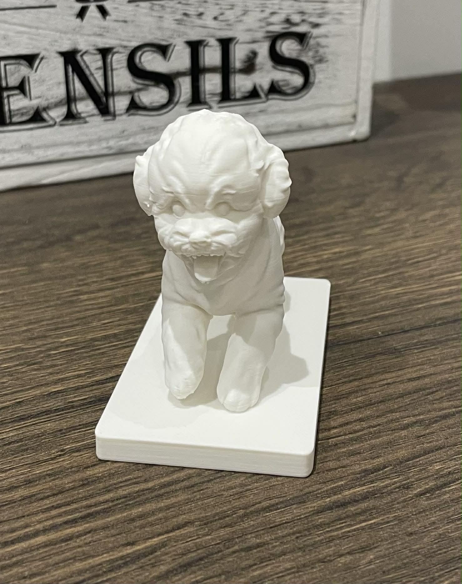 3d Printed Pet Model