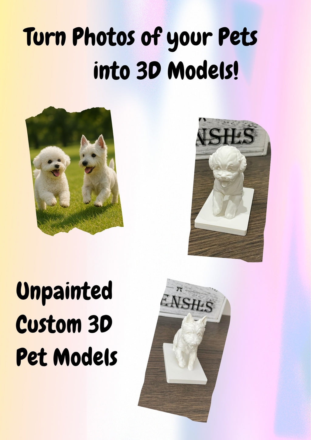 3d Printed Pet Model