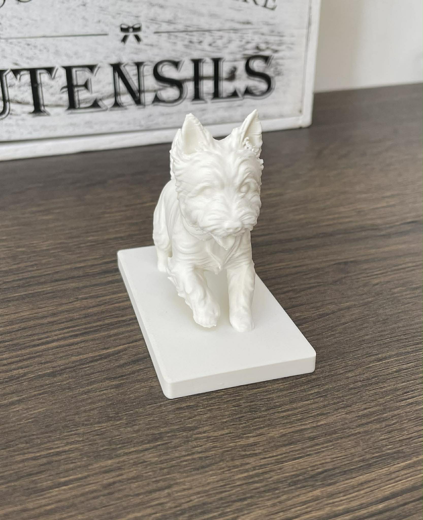 3d Printed Pet Model