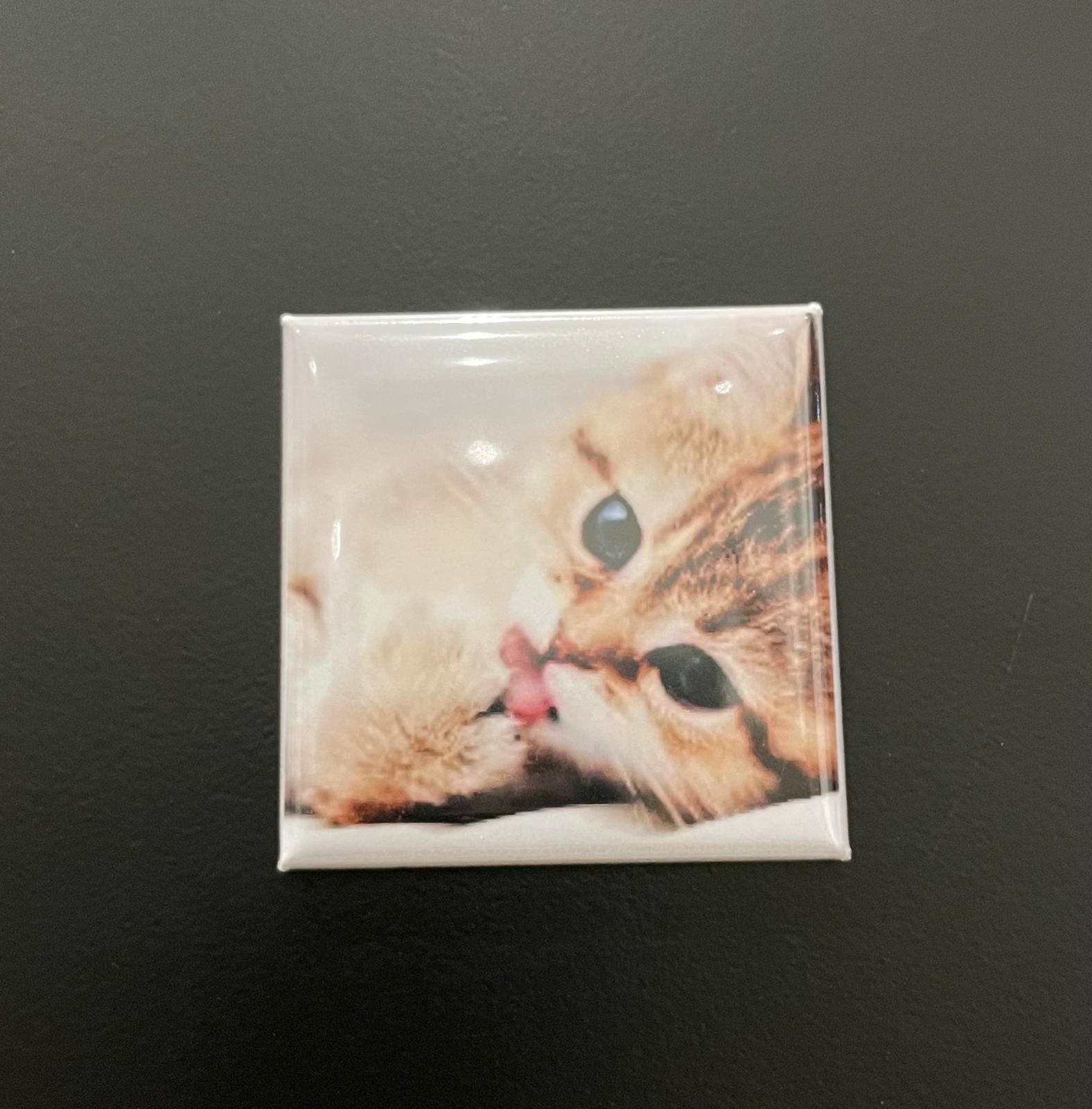 50MM X 50MM Fridge Magnet, Kitten.