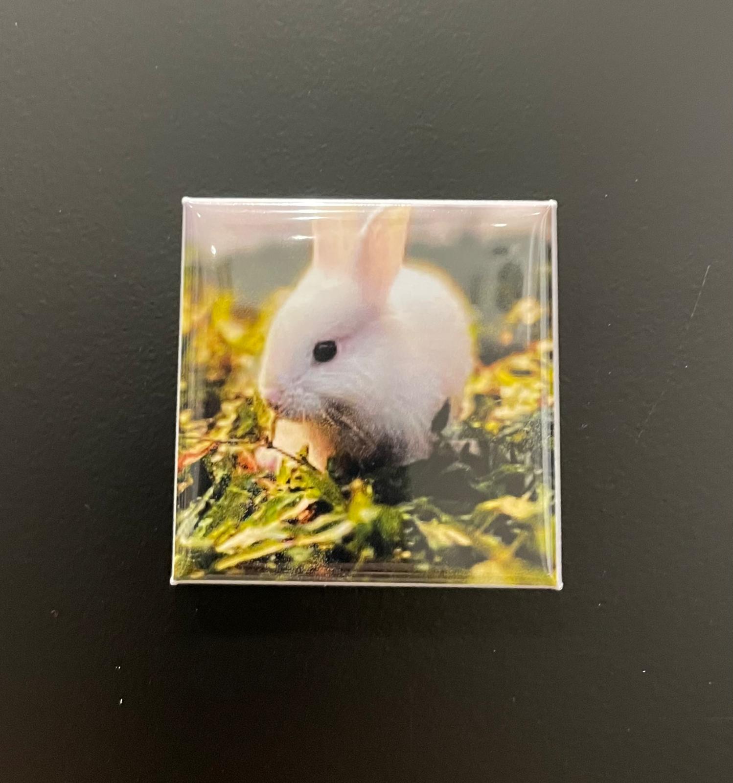 50mm x 50mm Fridge Magnet, Bunny.